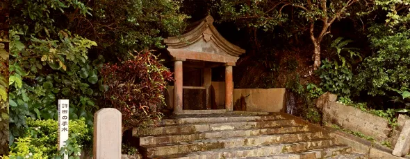 やんばるの森